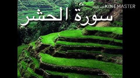 سورة الحشر بصوت الشيخ معاذ محمد طه