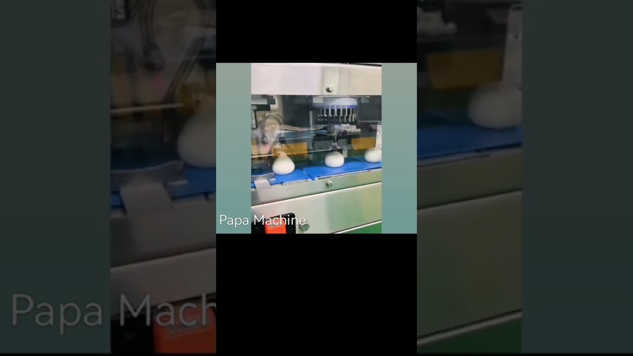 automatic nepal momo making machine baozi/momo bun making machine