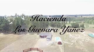 Hacienda Los Guevara Yañez, Boyen - Chillan
