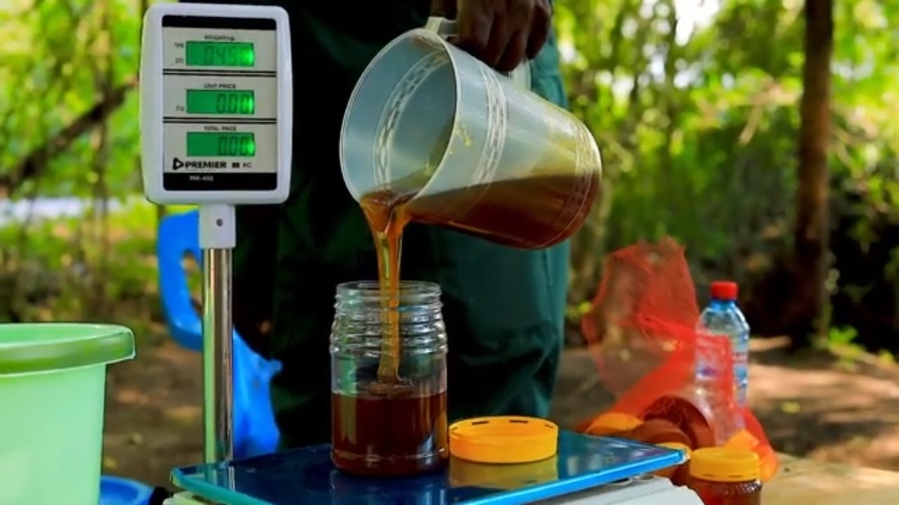Market driven honey standardization process