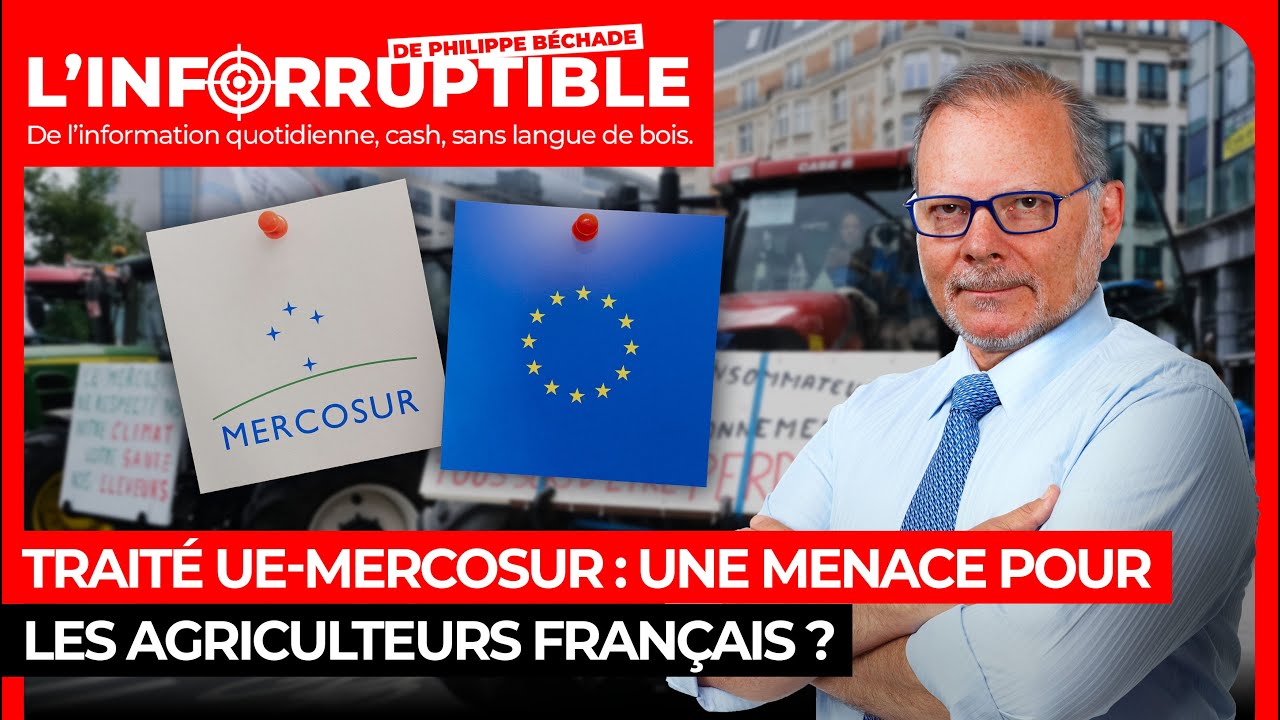 Traité UE-Mercosur : une menace pour les agriculteurs français ?