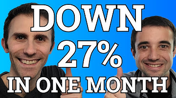 DOWN 27% in One Month...Freefall Caused by Too Much Debt or Rare Buying Opportunity? 