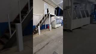 Mayhem Brn Of K9S Millie & Mayhem Malxdutch