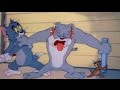 Tom and Jerry - 35 Episode - The Truce Hurts (1947)