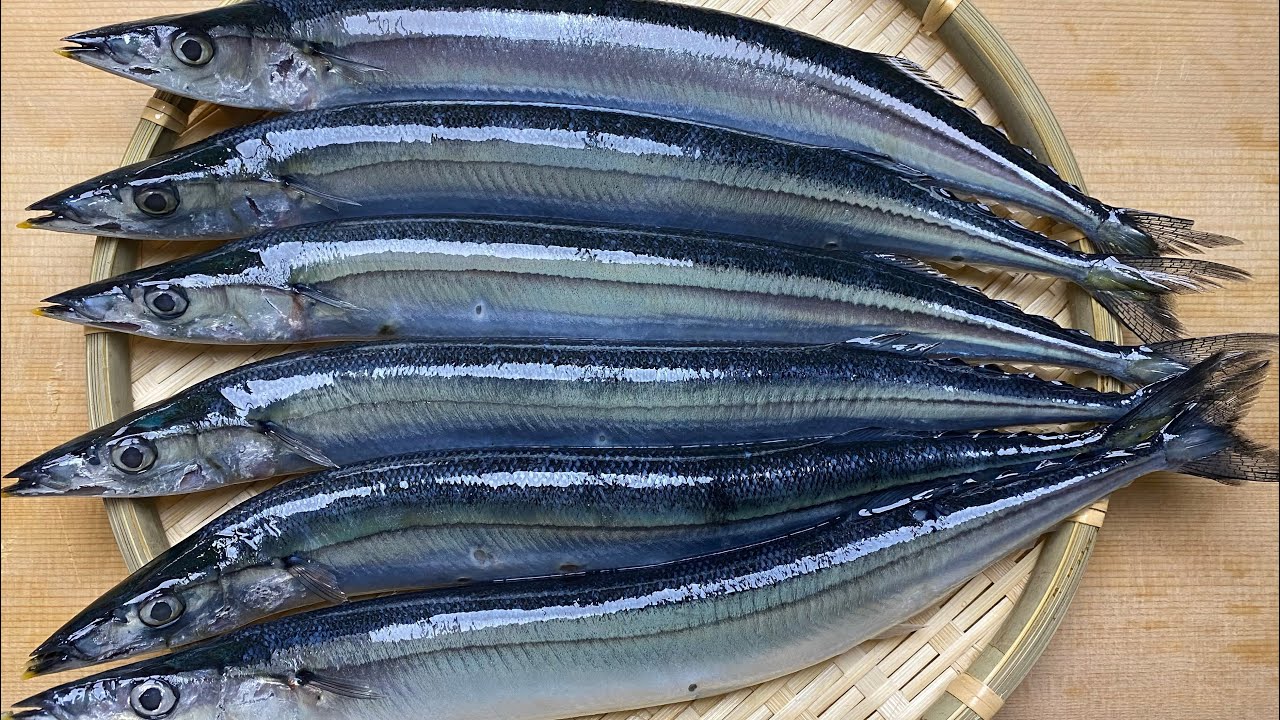 初心者向け【秋刀魚】三枚おろし - YouTube