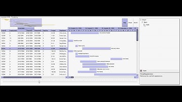 Exontrol EBN - Visual Appearance Rendering