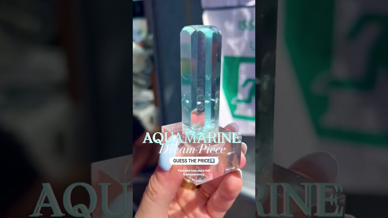 Guess the Price of This Once-in-a-Lifetime Aquamarine Museum Piece 💎 | France Gem Show 2025