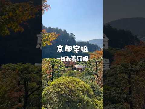 京都一日行程｜用一天的時間，品嚐茶之京都宇治的韻味與悠閒：三室戶寺、伊藤久右衛門、宇治上神社、平等院