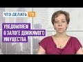 Уведомляем о залоге движимого имущества