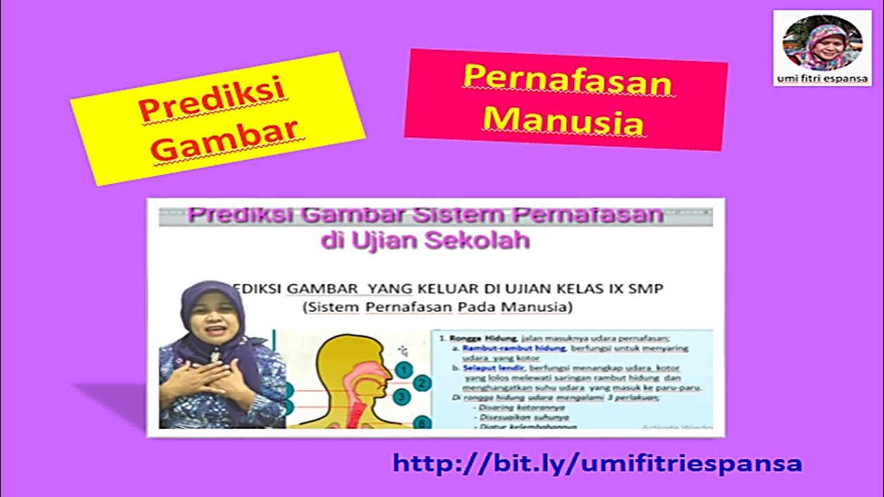sistem penarafan keselamatan sekolah online