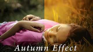 Autumn Color Effect - Photo Manipulation - Photoshop Tutorial Soft Light Effect screenshot 1