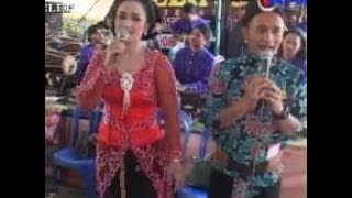 Dangdut jawa Koplo_ Gubug Asmoro Voc. Aguz & Hany = Campursari Zelinda live Celep Kedawug