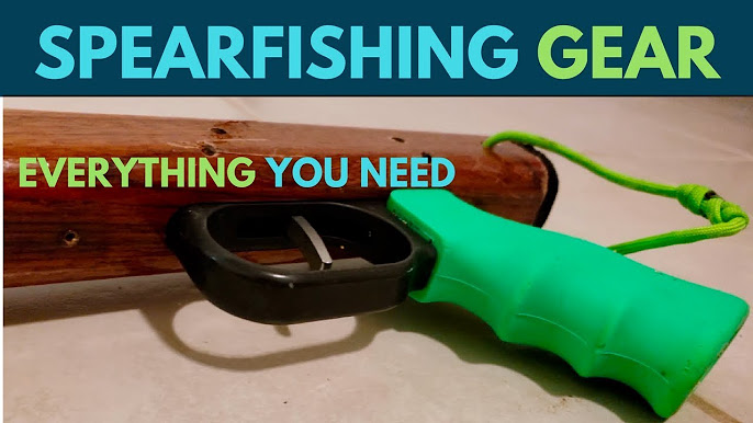 Spearfishing Basics(Beginner's Guide) 