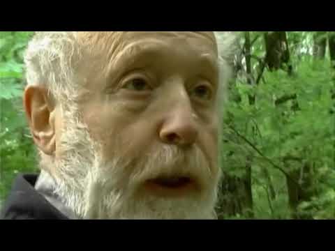 Юрий Норштейн про капитализм