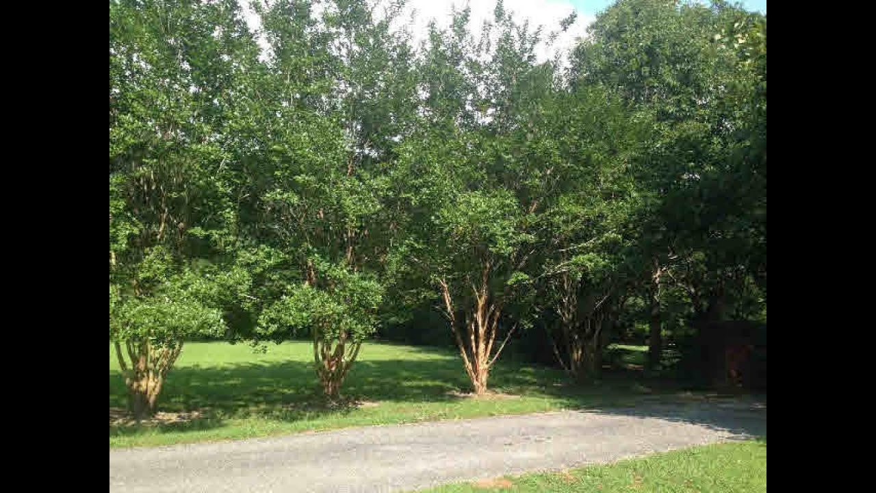 Residential for sale - 0 Beecher Street, Fairhope, AL 36532