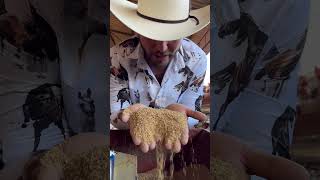 Huevo Jalisco
