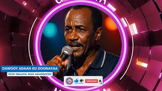 Download Lagu HEES DAWOOY ADAAN KU DOONAYAA | XUSUUSTII SICIID ISMAACIIL BUUX HANARQOODH | LYRICS COVER SONG MP3