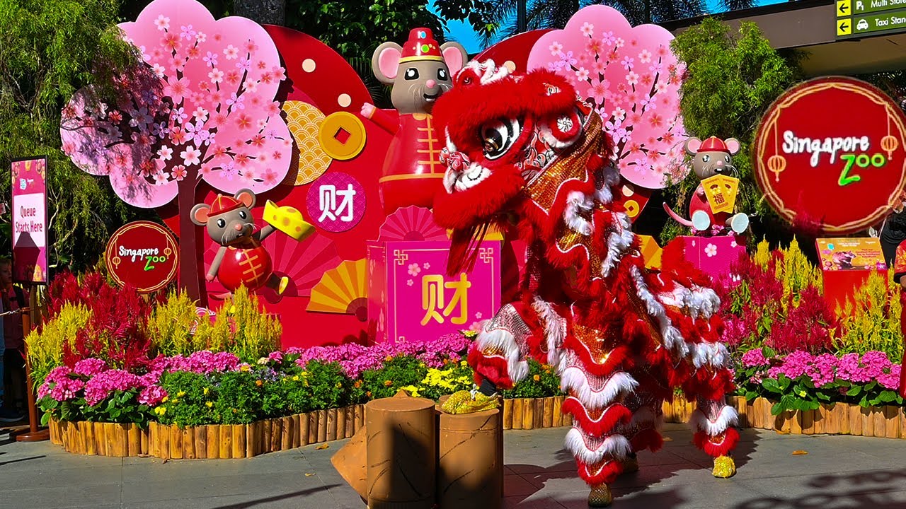 Singapore Zoo Lion Dance YouTube