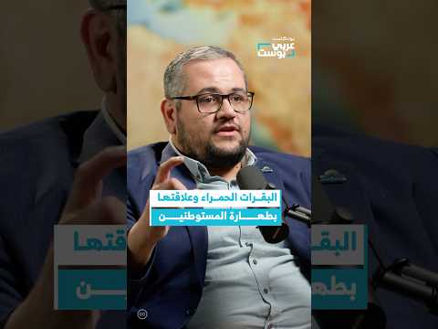 ما علاقة البقرات الحمراء بطهارة المستوطنين عربي بوست بودكاست