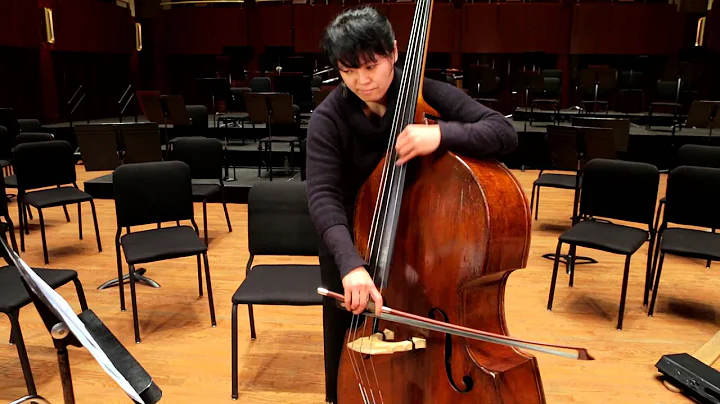 Meet the Musician - Ju-Fang Liu