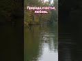 #shorst Природа,счастье,любовь.