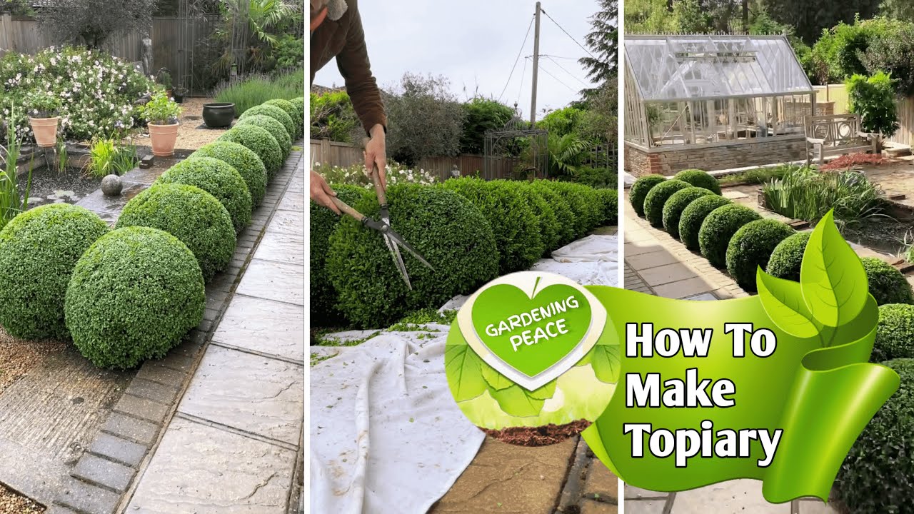 How To Make Topiary Designs | Topiary Tree Tutorial - Shape Your Plants | By - Gardening Peace
