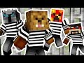 YOUTUBER COPS AND ROBBERS HIDE AND SEEK MOD - Minecraft Mod (FUNNY MOMENTS) | JeromeASF