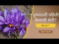 Pune's First Saffron/ केशर Farming in Container!🔥Saffron Farming,Kesar Farming, Maharashtra India's