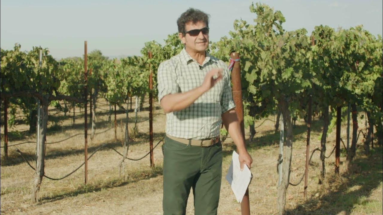 UC Davis Field Day Part 2 YouTube