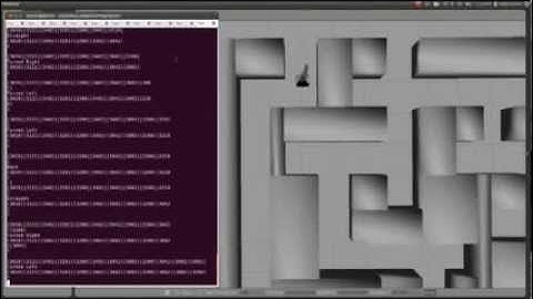 EMC Group 11 - Pico solving a maze in Gazebo