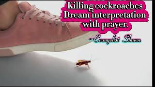 Dream interpretation of killing cockroaches; with prayer.  #evangelistshawnmichael 