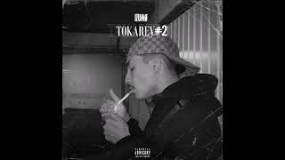 Izumø - Tokarev #2