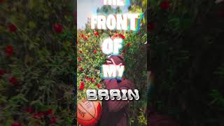 Your New Favorite Song new best pop 