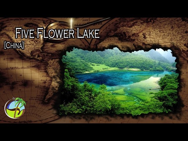 14+ Five Flower Lake China