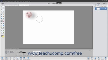 Photoshop Elements 2020 Tutorial Painting Tools Adobe Training