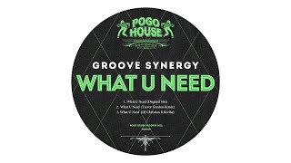 Groove Synergy - What U Need (DJ Christian B Revibe)