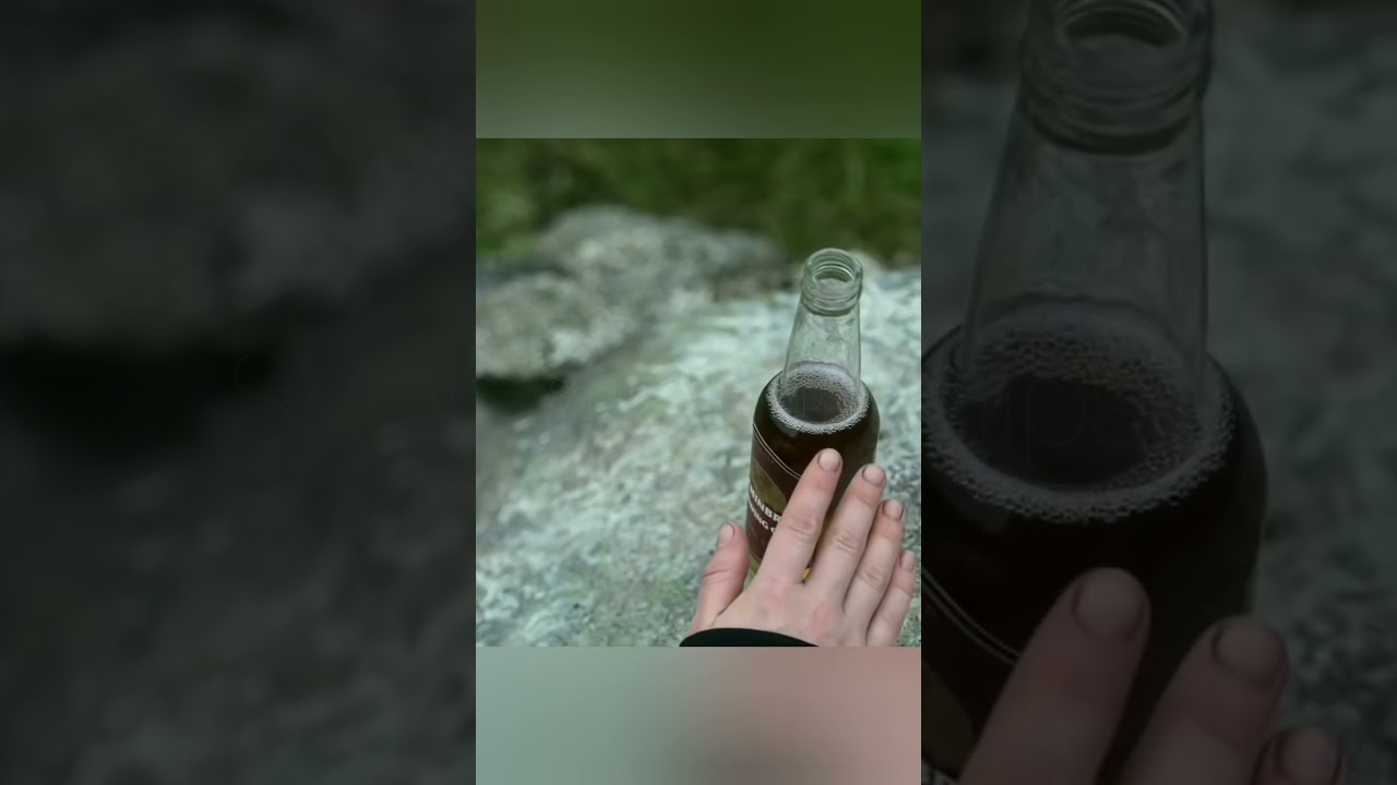 Dog Barked, Birds Flew, and the World Ended | Class of ’07 Scene 