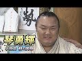 琴勇輝　小豆島 初の関取