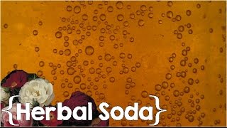 Does it Taste Good? ║ How to Make Medicinal Herbal Soda │Healing at Home #5 screenshot 2