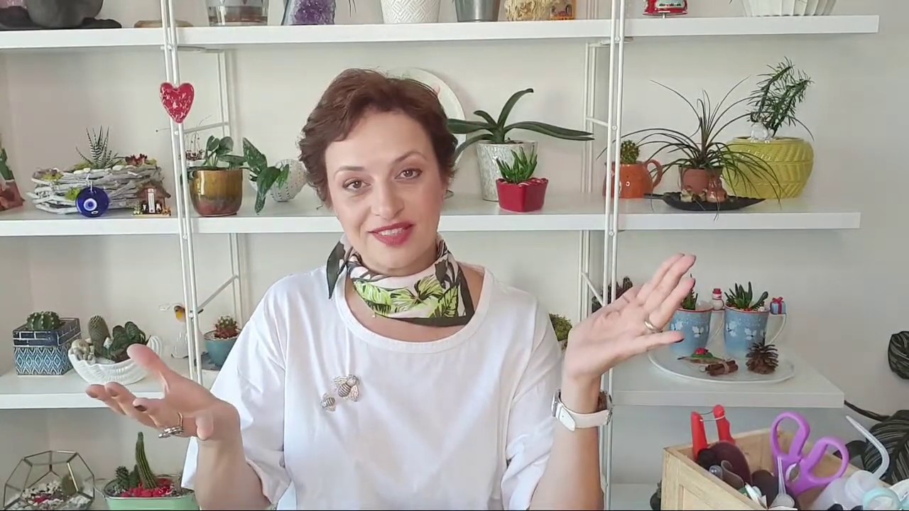 Sonbaharda Çiçek Bakımı Nasıl Yapılır? Pratik Bilgiler, Orkide, Kaktüs...