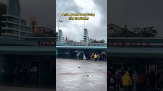Celebrity Busy rainy day at Disney! #disneyland #disney #disneyyoutube #shorts #rainyday #shorts #dayinthelife Profile