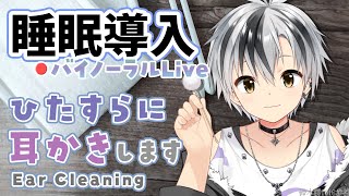 🛑【Binaural/ダミーヘッドマイク】本気で眠りたい人のためのじっくり奥まで耳かき 2025.2.26【にじさんじ/鈴木勝】