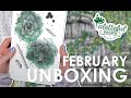 February 2021 Premier Paletteful Packs Unboxing & Demo!