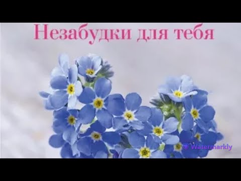 [Аудиокнига] Незабудки Для Тебя. Нора Робертс