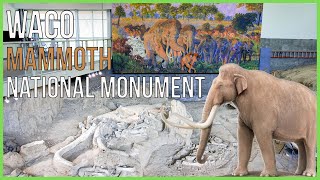 Waco Mammoth National Monument: A Window into the Ice Age by Mr.S Travel Quest 1,831 views 1 year ago 5 minutes, 23 seconds