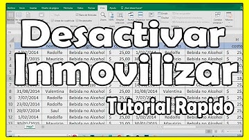 COMO DESACTIVAR INMOVILIZAR paneles en Excel paso a paso