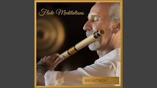 Alap in Hamsadhwani (Live)