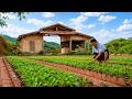 A Former CEO’s Inspiring Journey from Corporate Life to Off-Grid Living