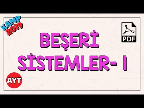 Beşeri Sistemler 1: Nüfus Politikaları Şehirler | AYT Coğrafya