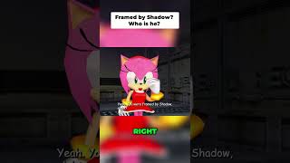 Framed by Shadow  Unmasking the Truth!